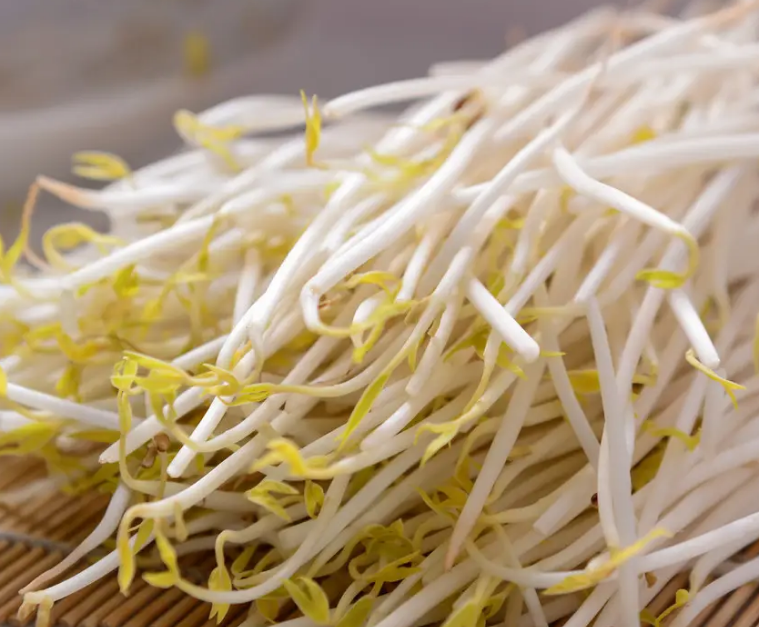 使用豆芽機怎么生長豆芽 使用豆芽機怎么生長豆芽