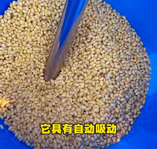 磨漿機(jī)全自動(dòng)吸豆