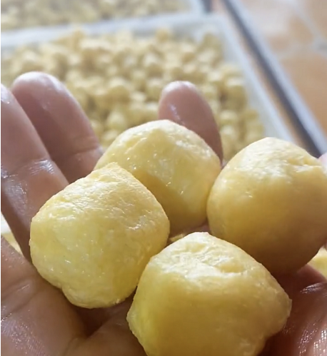 豆腐機怎么做豆泡 豆腐機怎么做豆泡