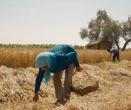 老鐵用豆腐機(jī)創(chuàng)業(yè)