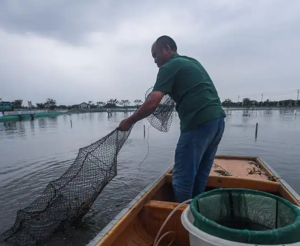 水產老鐵用豆腐機做豆腐 水產老鐵用豆腐機做豆腐