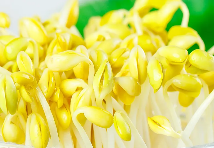 豆貴妃豆芽機(jī)