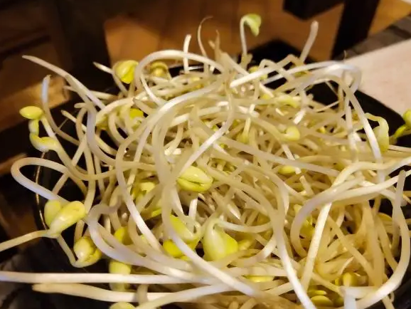 豆芽機(jī)豆貴妃