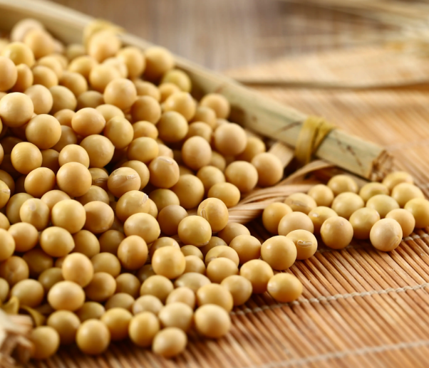 用豆腐機做豆腐，應該選用什么樣的大豆