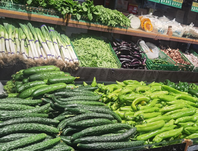 商超老鐵用豆芽機做豆芽