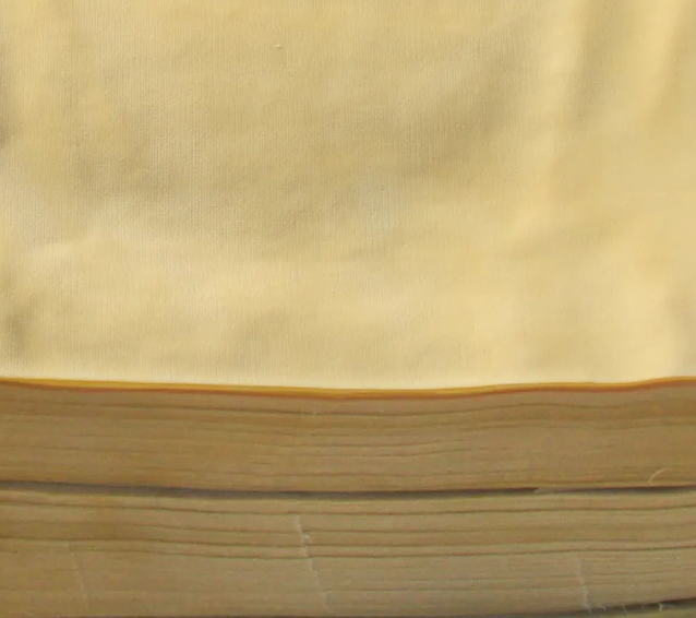 豆皮用什么機器做