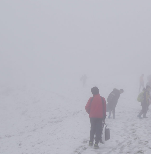 1697417067135756.png image.png