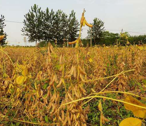 1708910704121005.png image.png