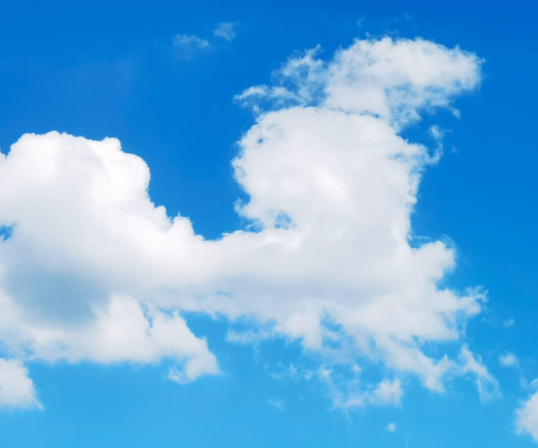 1717137339121771.png image.png