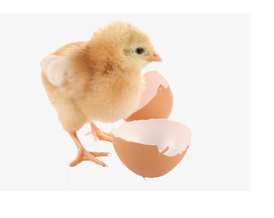 image.png