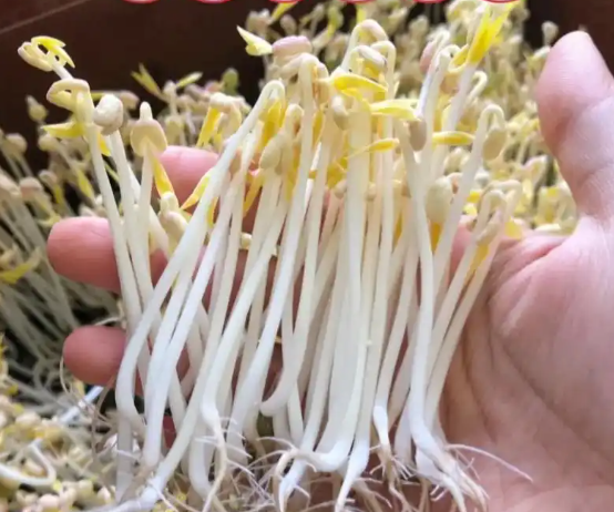 1743147506888706.png image.png